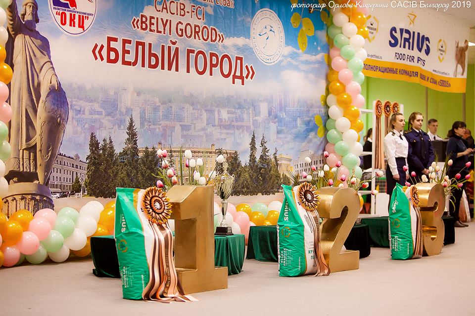 Культурно-спортивное зоотехническое мероприятие CACIB – FCI в Белгороде 03-04 октября 2020 «Белый Город-2020»