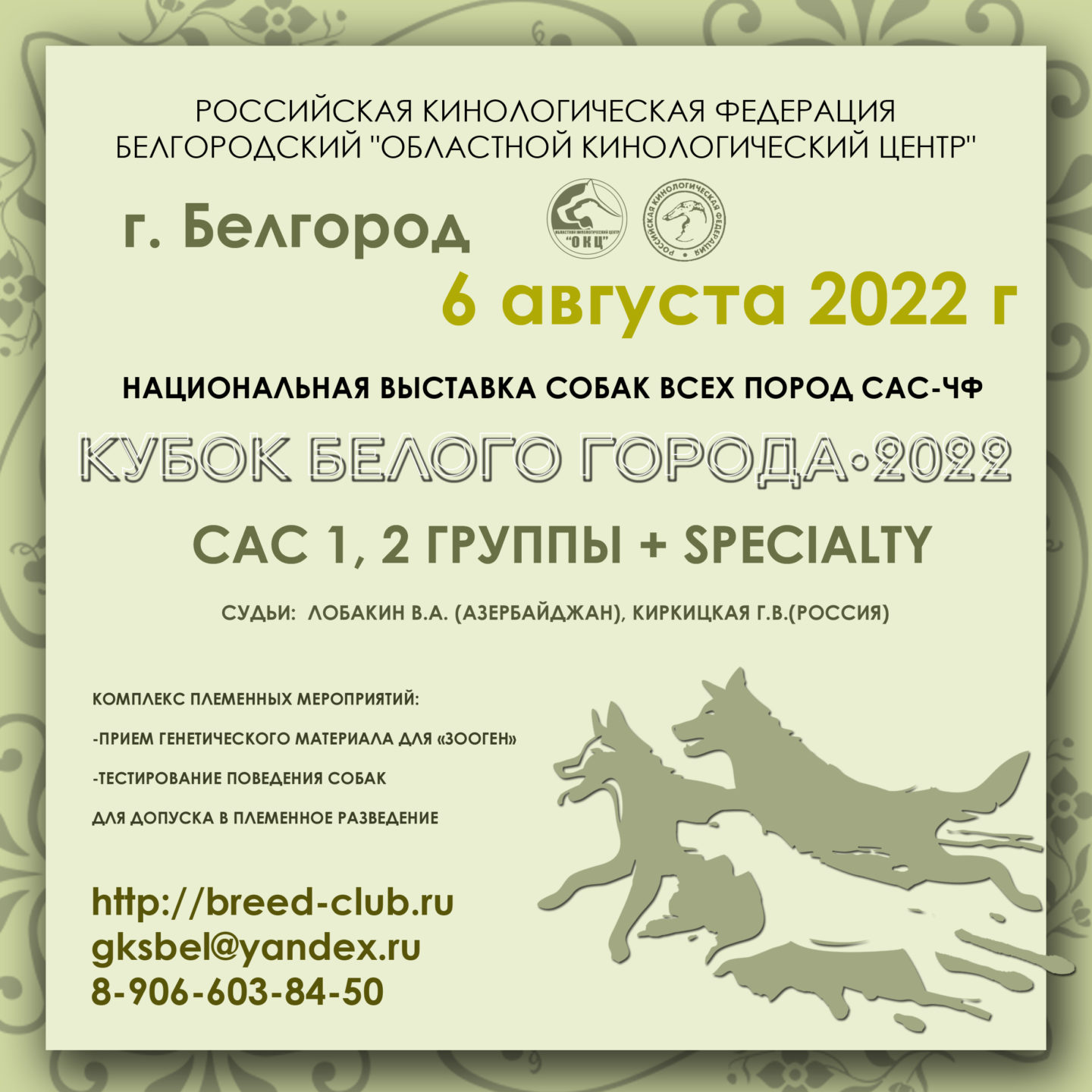 6 августа 2022 САС-ЧФ «Кубок Белого Города»