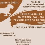 5 августа 2023 САС-ЧФ «Кубок Белого Города»